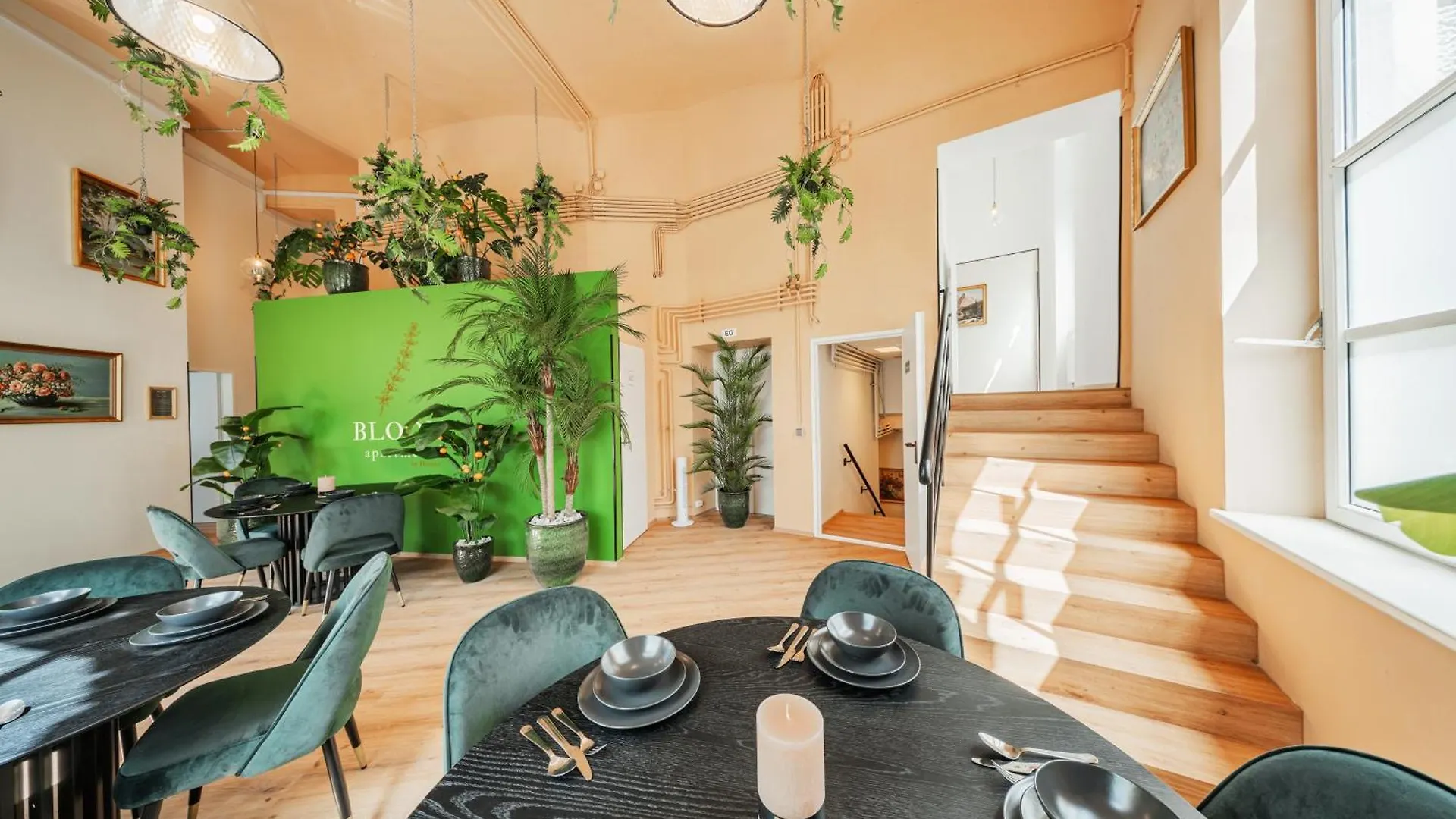 Albergue Bloom By Home1 Viena